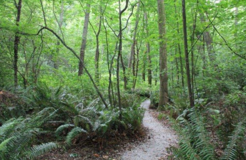 Carkeek Park Seattle WA