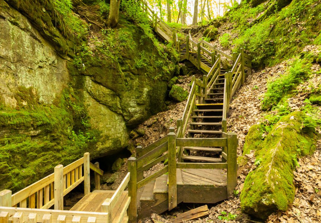 Rock Bridge Memorial State Park Missouri