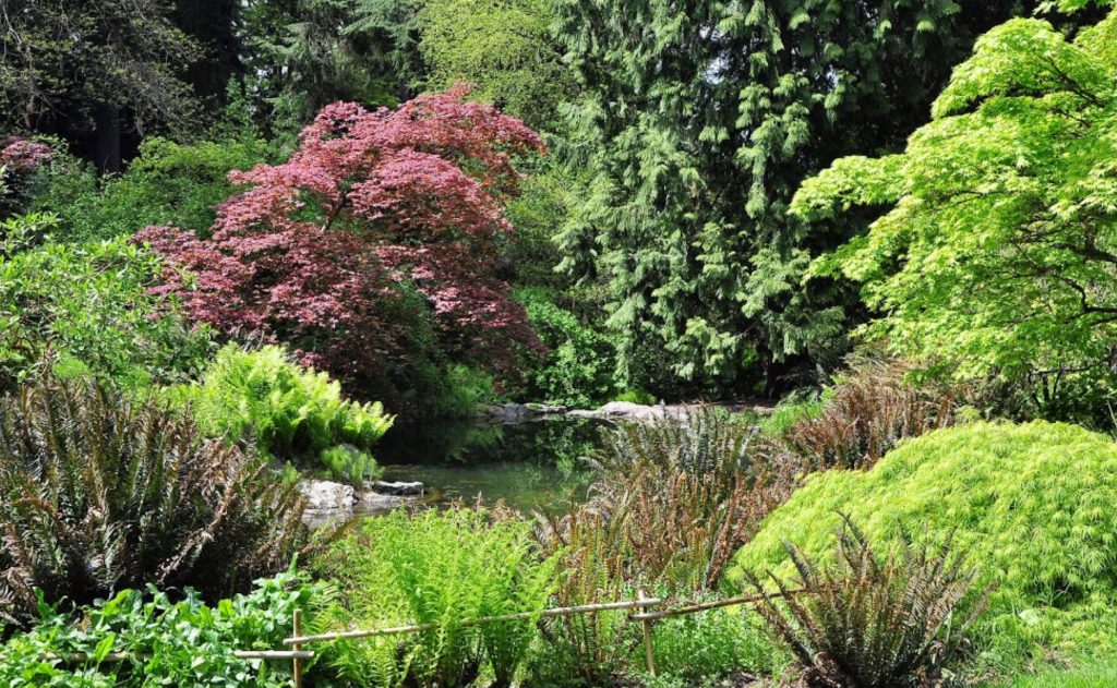 Washington Park Arboretum Seattle