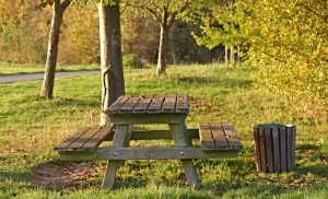 Picnic Table