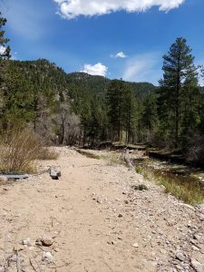 Lion Gulch Trail