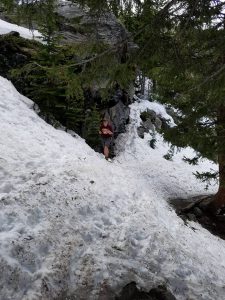 Snow On Bear Lake Trail