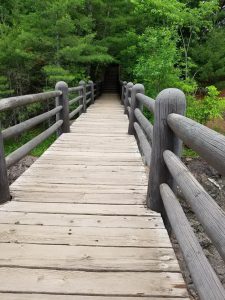 Copper Falls SP Bridge